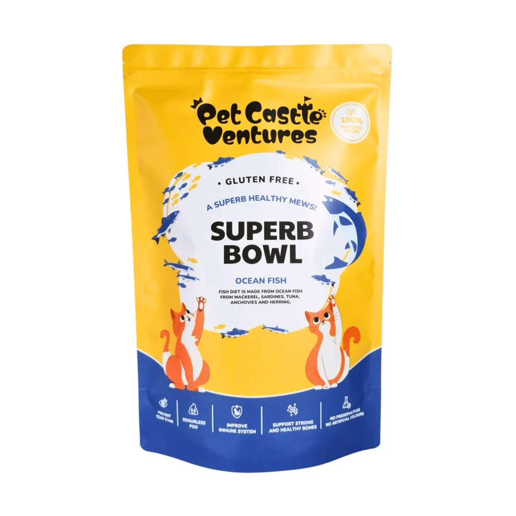 SuperBowl