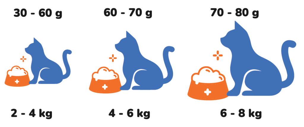 Feeding_Guideline_SuperbBowl_1728790008