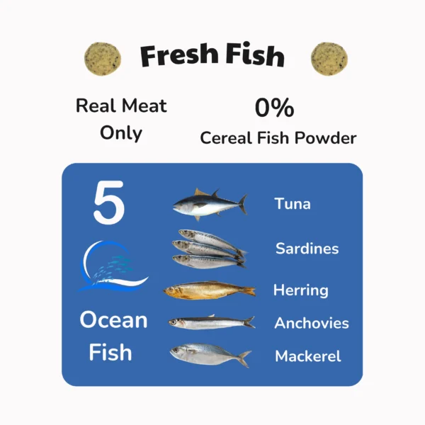 Trial Pack Mix Promotion - Image 2