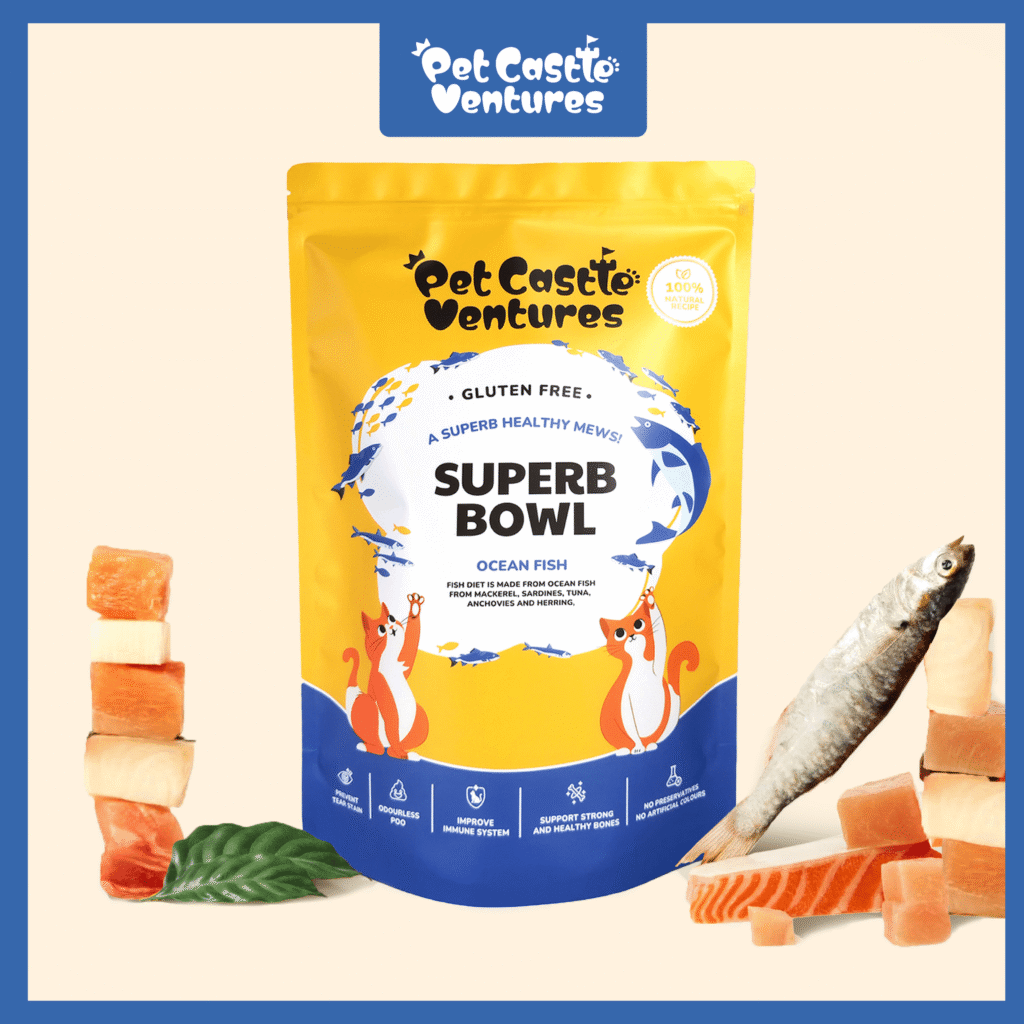 Superbbowl Desc Image