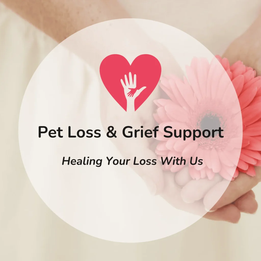 Pet Loss & Grief Support
