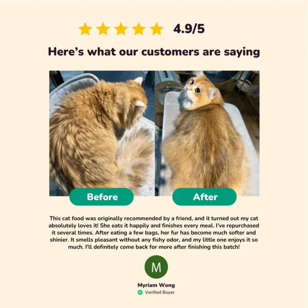 HEALTHYMEWS Premium Kibbles Twin Pack - Image 2