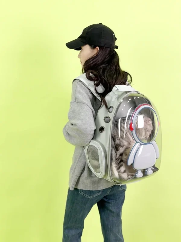 3D Pet Carrier Bag