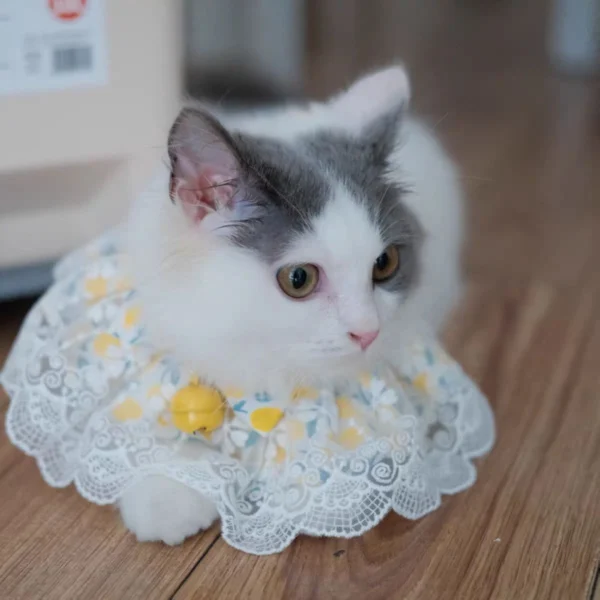 Adorable Cute Floral Necklace for Cat - Image 2