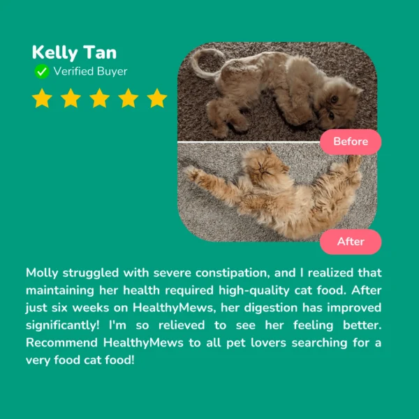 HEALTHYMEWS Premium Kibbles Twin Pack - Image 3