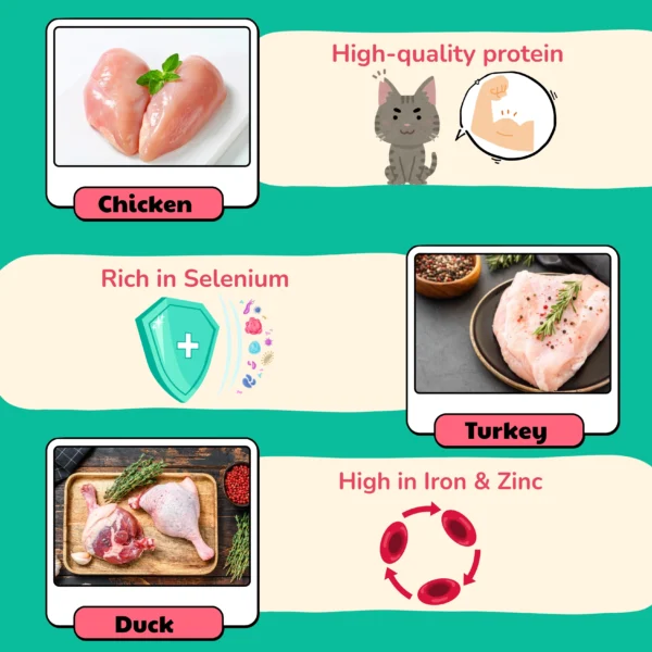 HEALTHYMEWS Premium Kibbles Twin Pack - Image 9