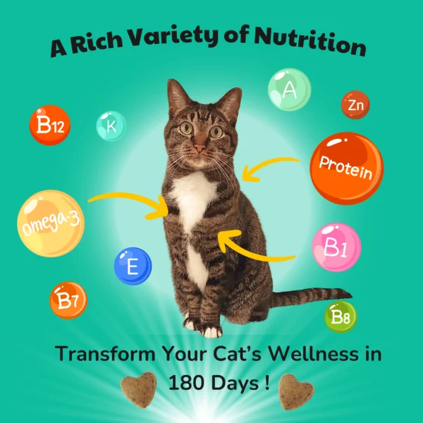HEALTHYMEWS Premium Kibbles Twin Pack - Image 13