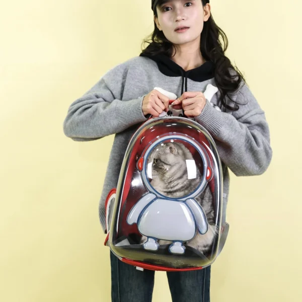 3D Pet Carrier Bag