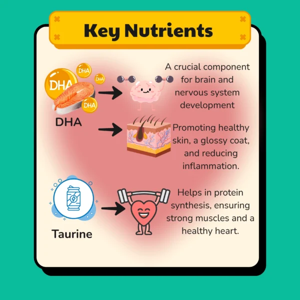 HEALTHYMEWS Premium Kibbles Twin Pack - Image 10
