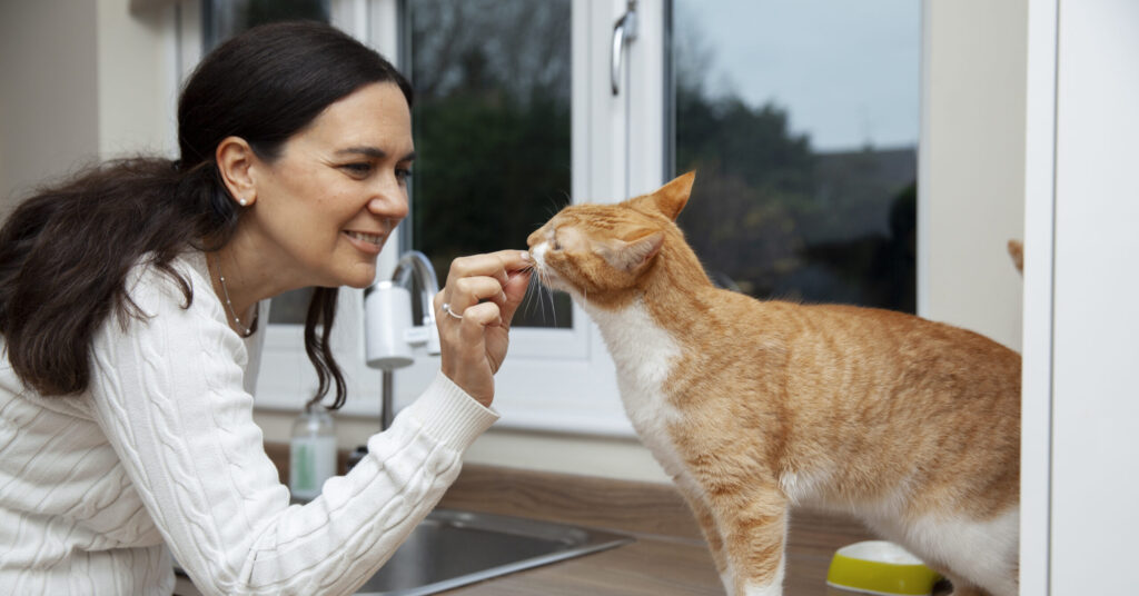 Pet Therapy for Healthy Aging with Pet Castle Ventures