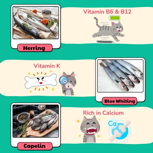 HEALTHYMEWS Premium Kibbles Twin Pack - Image 8