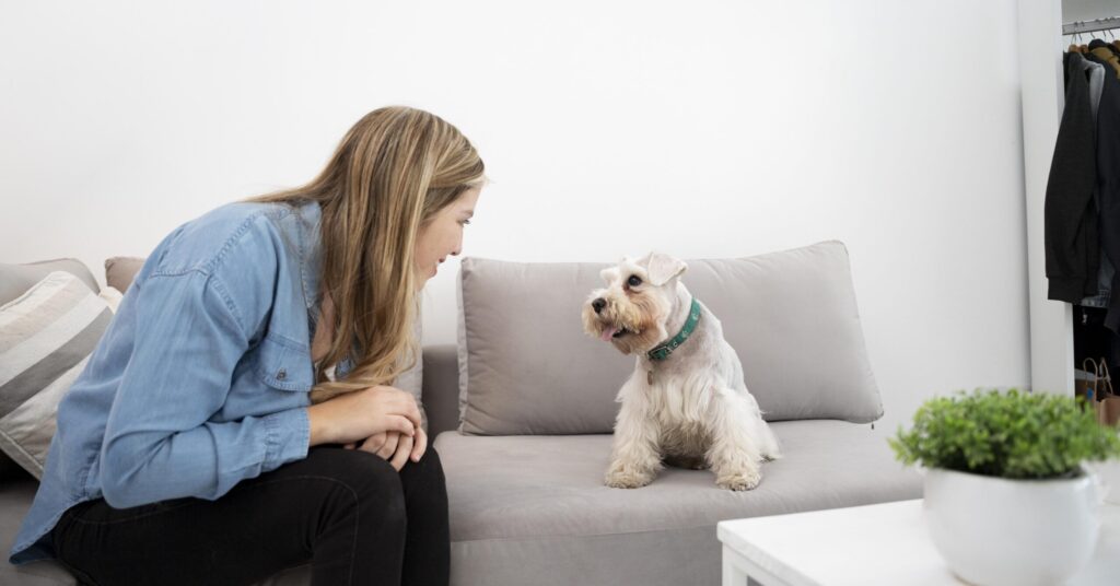 How Pets Help Manage Anxiety and Reduce Stress in 2025