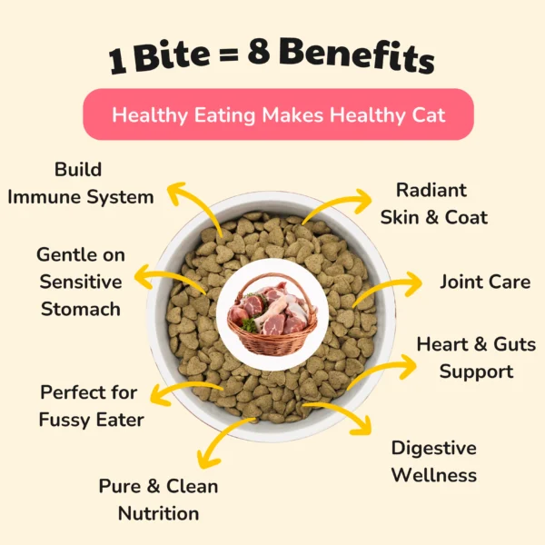HEALTHYMEWS Premium Kibbles Twin Pack - Image 12