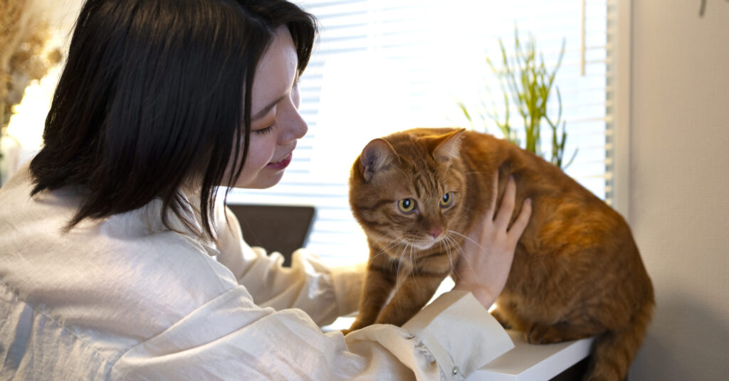 vitamins for cats