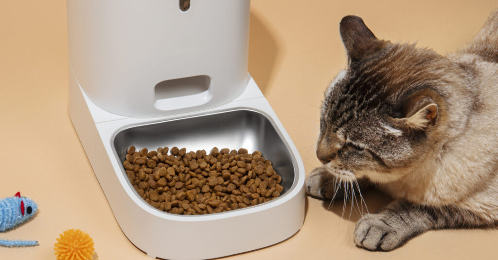 Taurine for Cats: Why It's Essential for a Healthy Feline