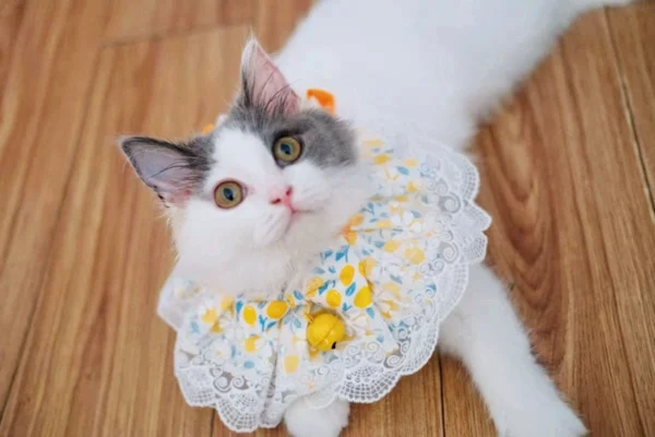 Adorable Cute Floral Necklace for Cat - Image 3