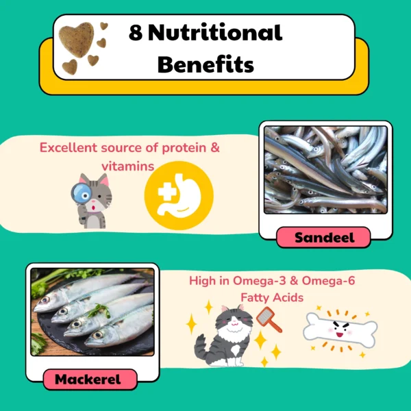 HEALTHYMEWS Premium Kibbles Twin Pack - Image 7