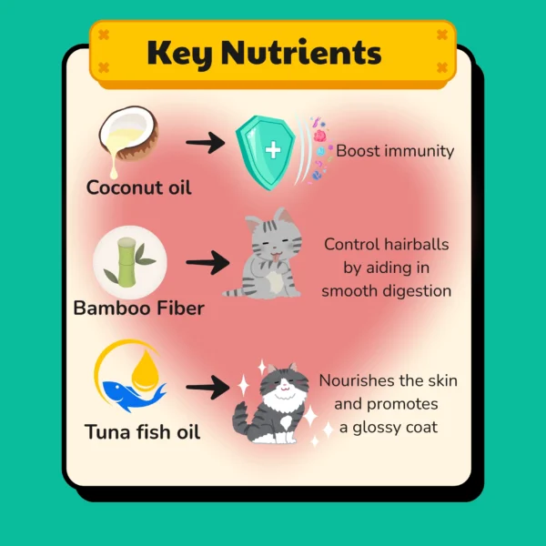 HEALTHYMEWS Premium Kibbles Twin Pack - Image 11