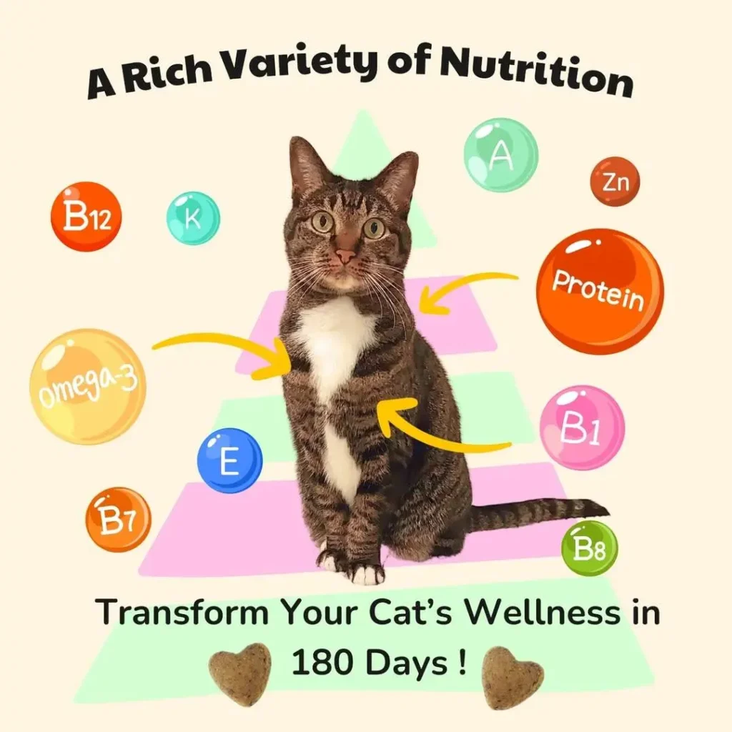 HealthyMews Benefits