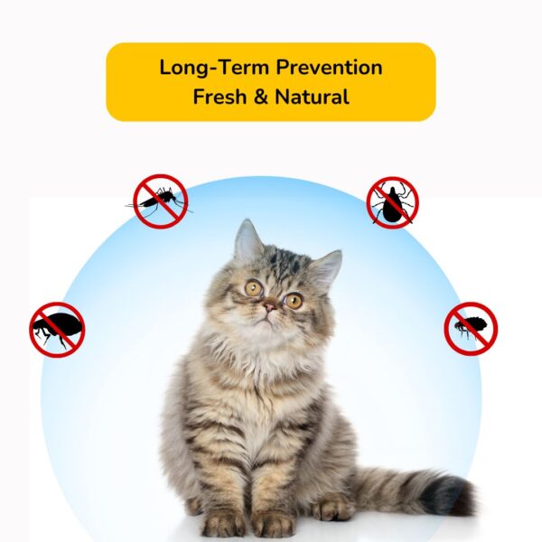 Pet Anti-Flea Pet Bell Collar Necklace - Image 3