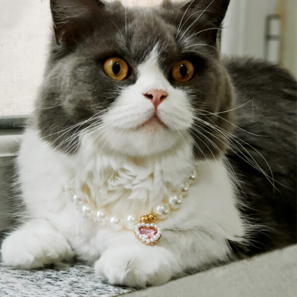 Pet Pearl Gem Bow Collar Necklace - Image 2
