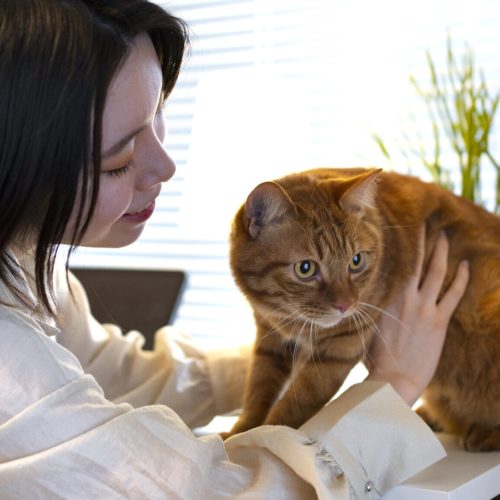 Vitamins for Cats: Unlocking Optimal Health for Your Feline Friend